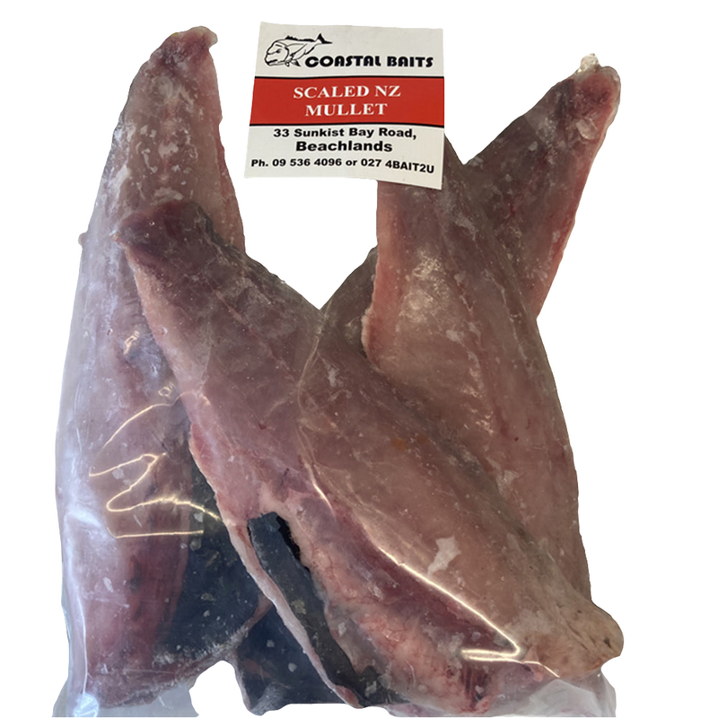 Frozen Scaled NZ Mullet 1st grade Fillets