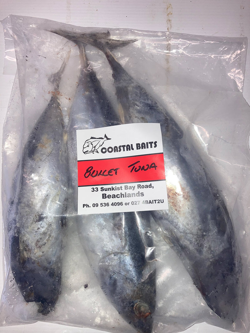 Frozen Skipjack Bait For Sale Near Me Coastal Baits Bullet Tuna